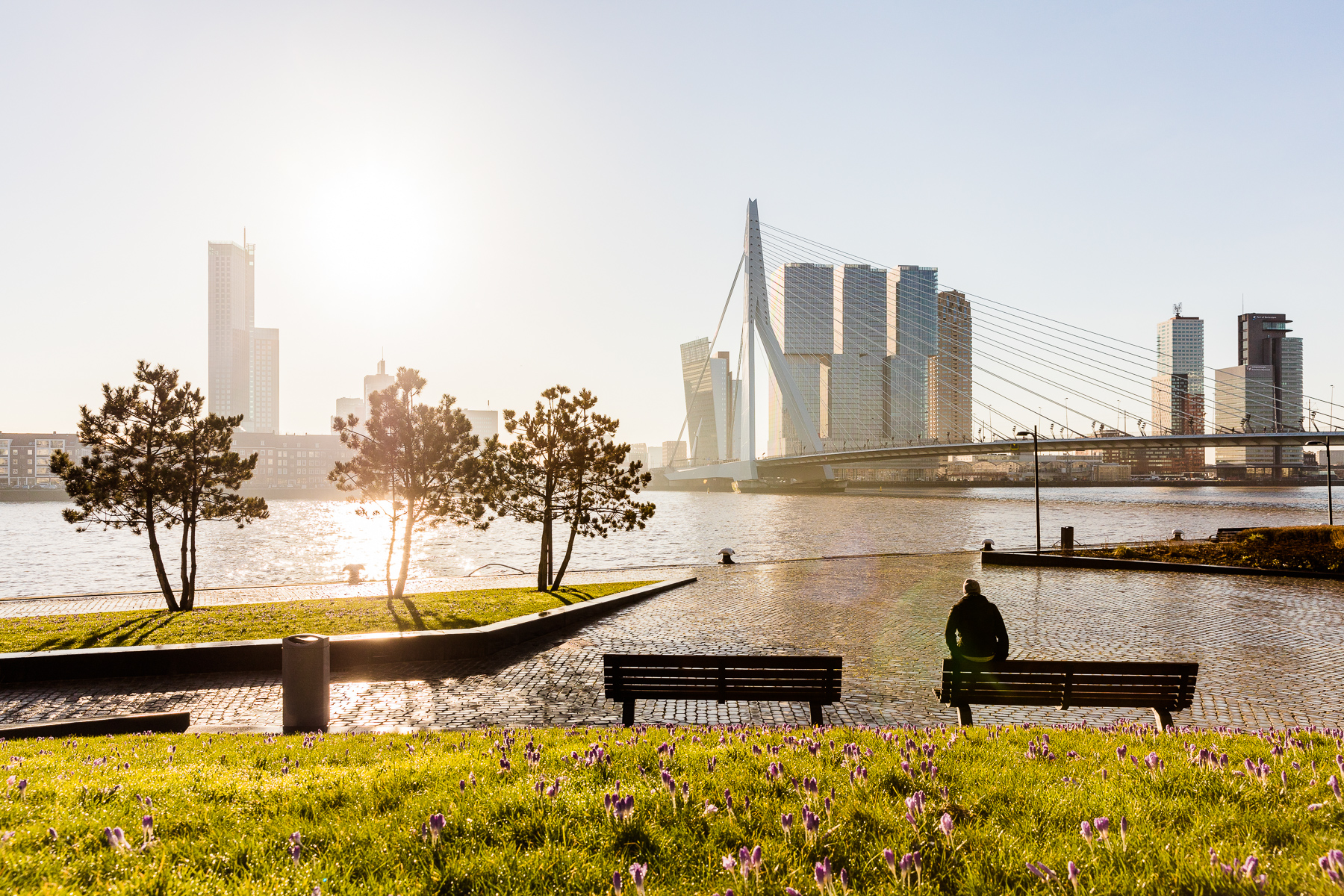 Uitzicht op Rotterdam - Rotterdam Marketing