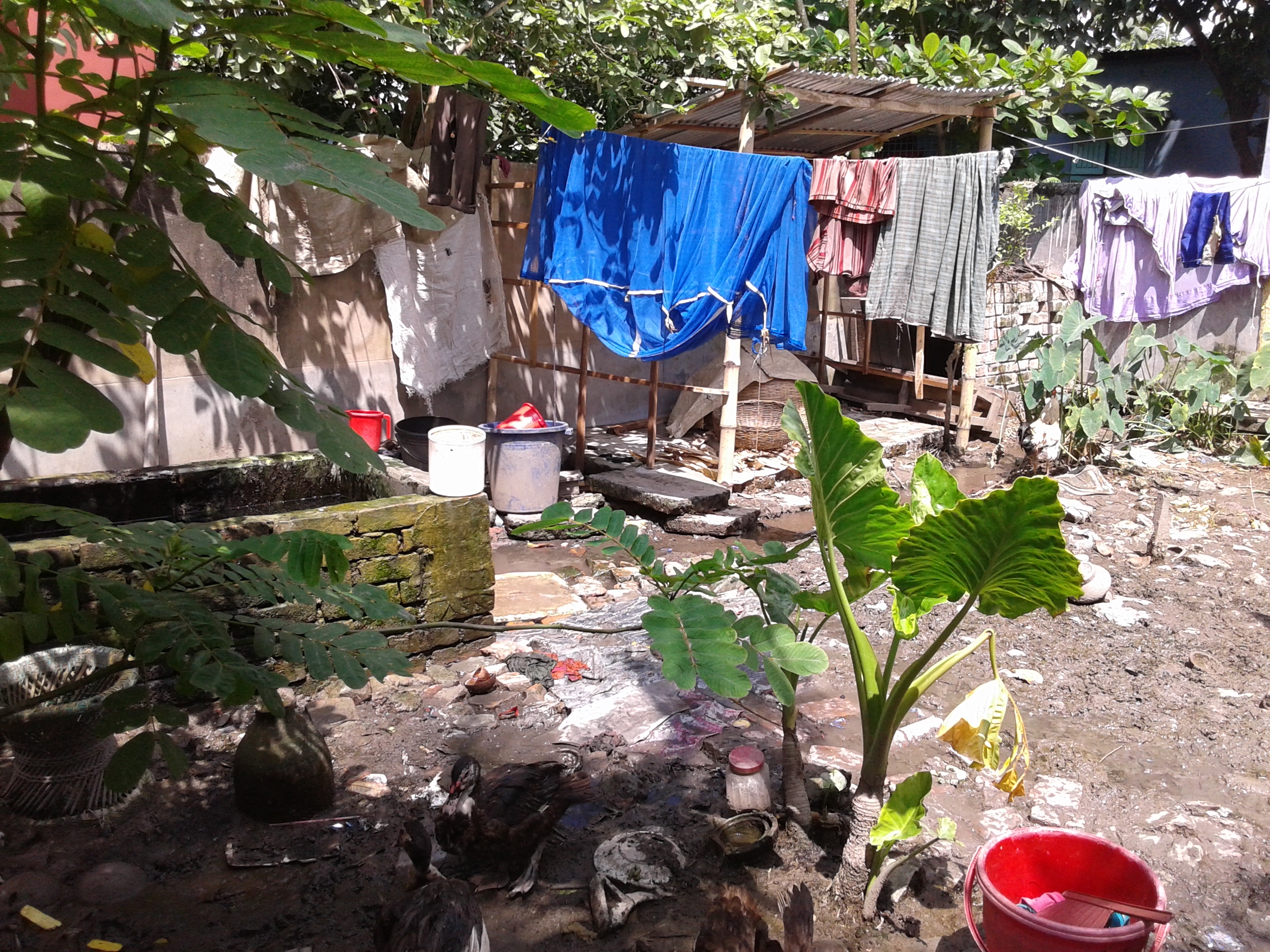 Impact evaluation study in Bangladesh - NUPRP - slum detail