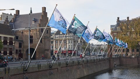 Flags Dies Hofvijver