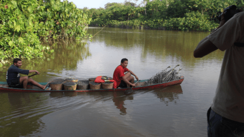 Transporting acai - Brazil - Governance of Labour and Logistics for Sustainability