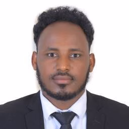 AB (Alemayehu Begna) Hordofa, LL.M