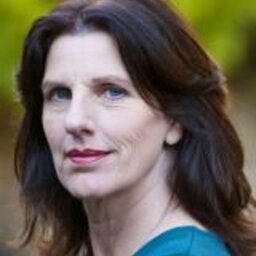 prof.dr.ir. (Thea) DJM Hilhorst
