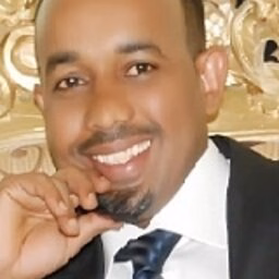 dr. BA (Binyam Afewerk) Demena