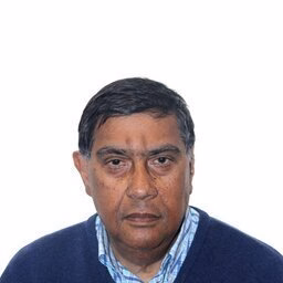 prof.dr. SM (Mansoob) Murshed