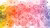KNAW science communication award