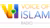 Voice of Islam logo