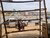 Daily life in Dei Dei Market in Abuja, Nigeria