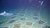 'Nodule frames' for a manganese deep sea mining experiment with shark 