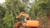 Heavy machinery used to fell trees - MOSAIC project
