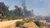Tree felling along dirt road - Myanmar/Cambodia - MOSAIC project