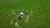 Drone over crop field - the rise of digital farming