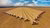 Combine harvesters - degrowth