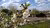 LEF - urban farms - Allotment garden_cherry blossom