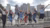 Erasmus Trust Fund (Trustfonds)