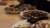 A fresh assortment of salads to fuel us for the stimulating talk ahead.