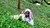 Fairtrade tea plantation - Sri Lanka