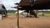 Informal shelters built by indigenous of ‘Iwitsulibo’ – awaiting for a legal recognition of their ancestral lands