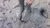Bare feet in mud
