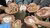 RWA members holding local seeds. Suurbraak, Western Cape, South Africa