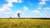 The savanna landscape in Puerto Gaitán, Meta