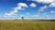 Prairie with single tree and blue sky