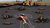 Cartoon of child crouching in desert. Outline of body on ground