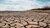 Cracked parched soil leading to grassy dunes under a partly cloudy sky