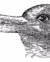 Duck-Rabbit illusion - the mind's eye1892