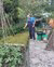 Urban gardener at Westerduin allotment gardens