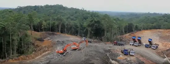 Tractors clearing forest land