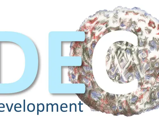 Development Economics research group logo