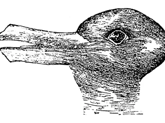 Duck-Rabbit illusion - the mind's eye1892