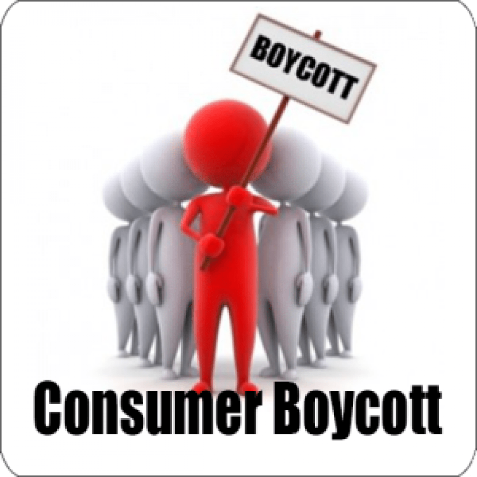 consumer boycott essay